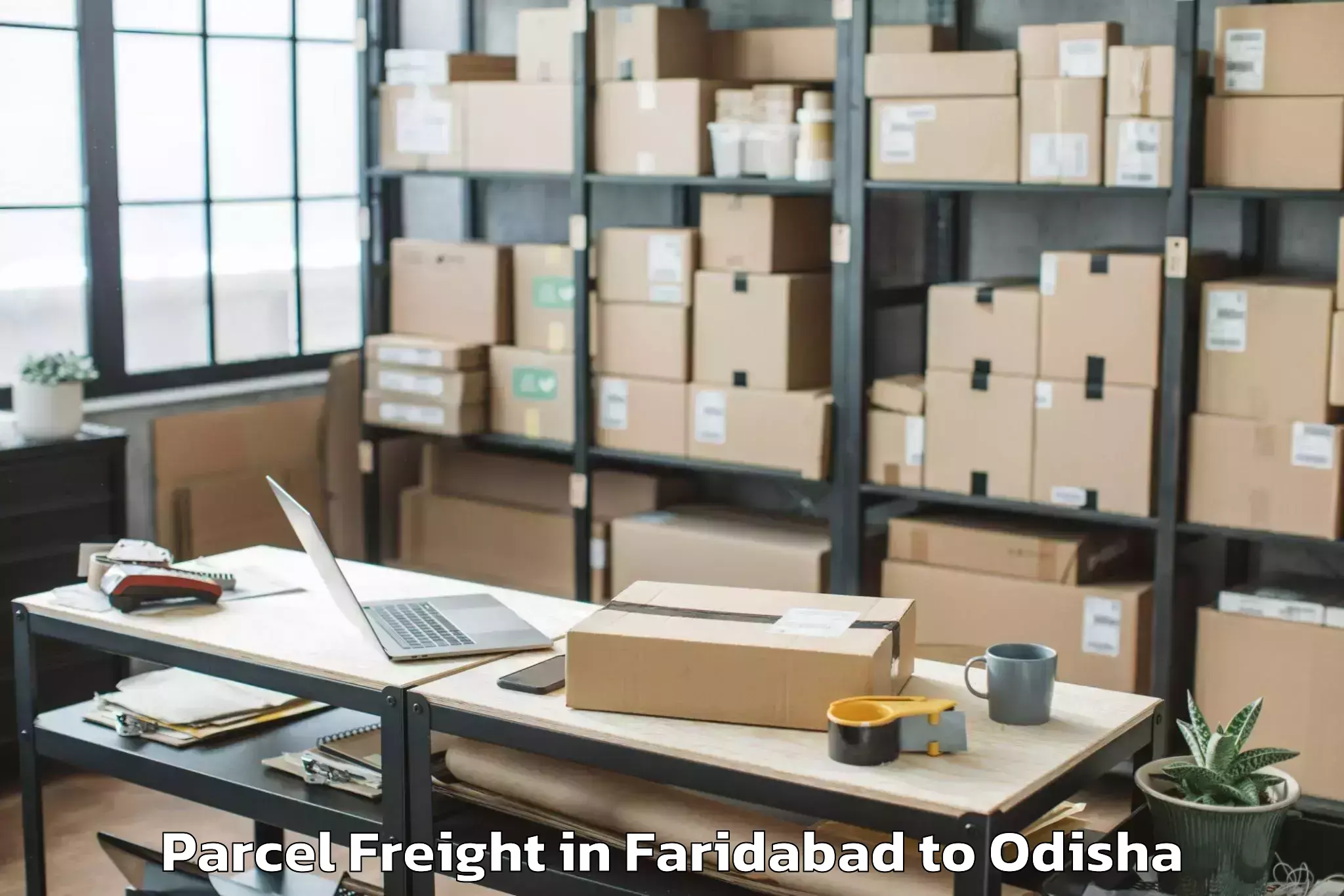 Top Faridabad to Mahanga Parcel Freight Available